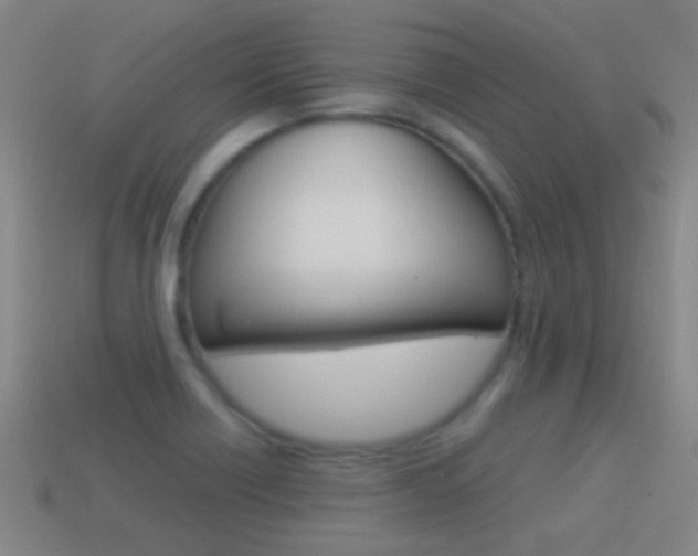X0000114521418200910190940