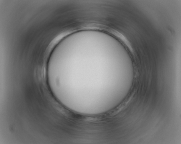 X0000114521419200910190940