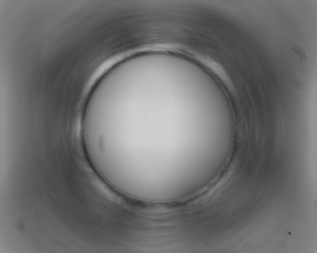 X0000114521420200910190940
