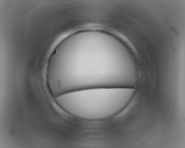 X0000114521421200910190940