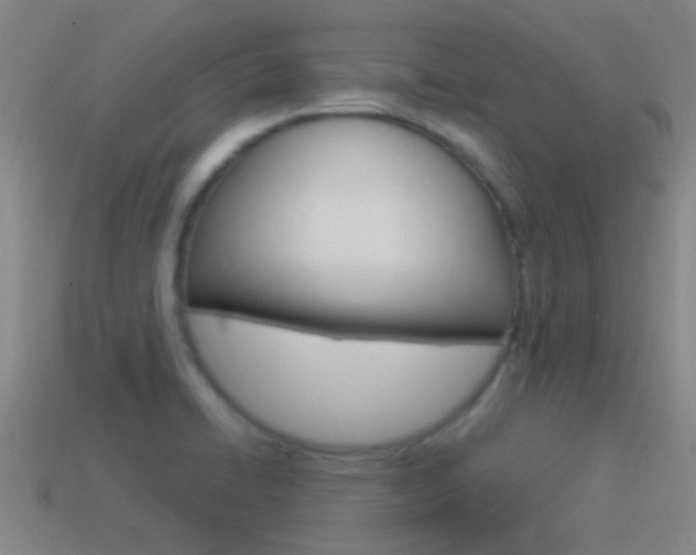 X0000114521422200910190940