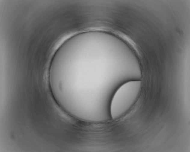 X0000114521423200910190940