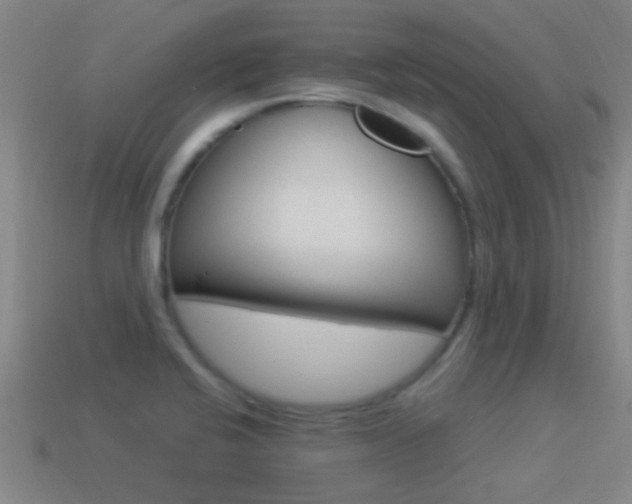 X0000114521424200910190940