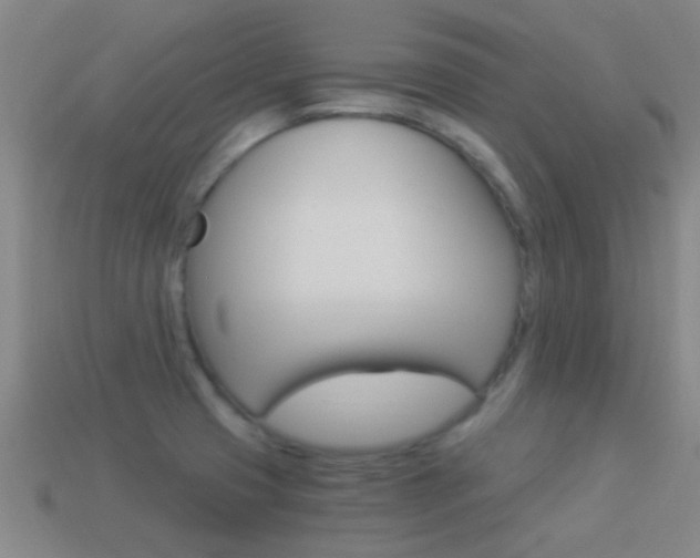X0000114521425200910190940