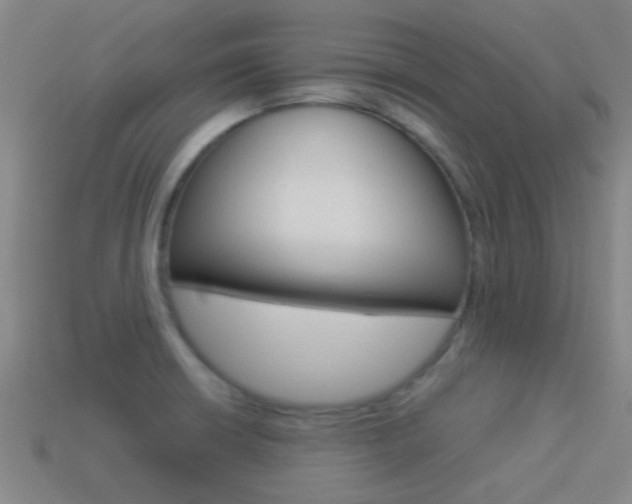 X0000114521426200910190940