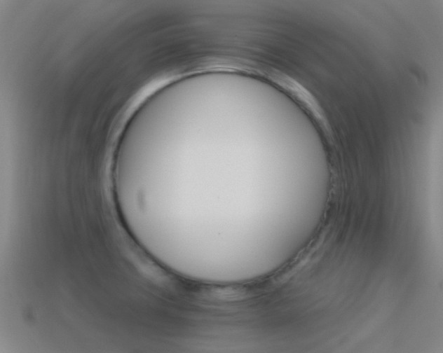 X0000114521427200910190940