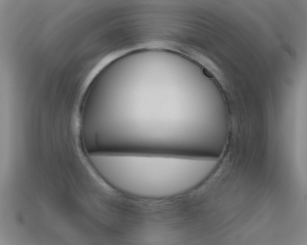 X0000114521428200910190940