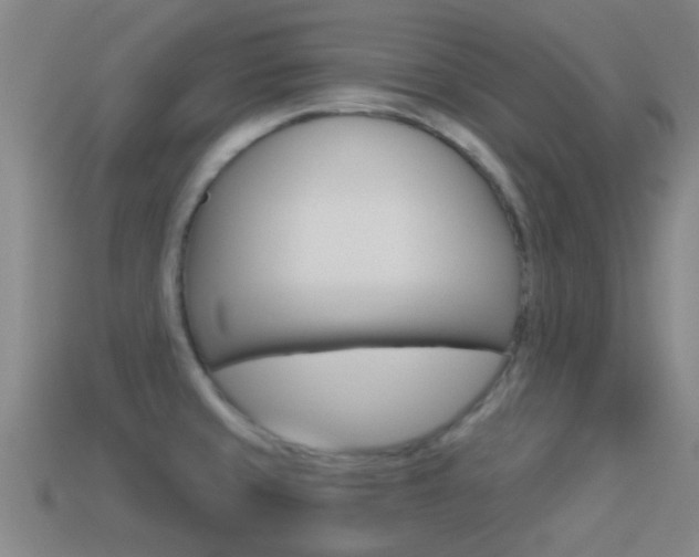X0000114521429200910190940