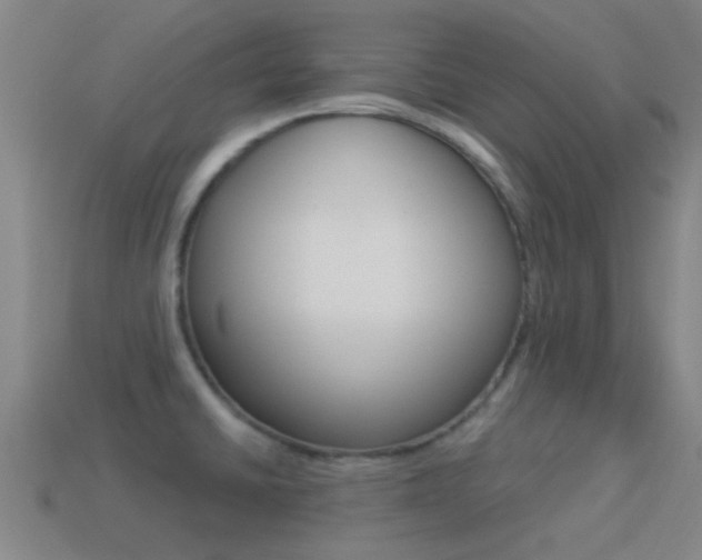 X0000114521430200910190940