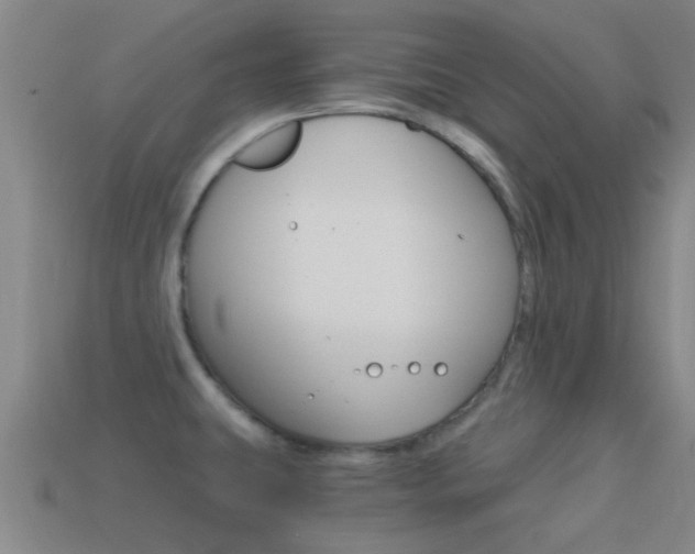 X0000114521431200910190940