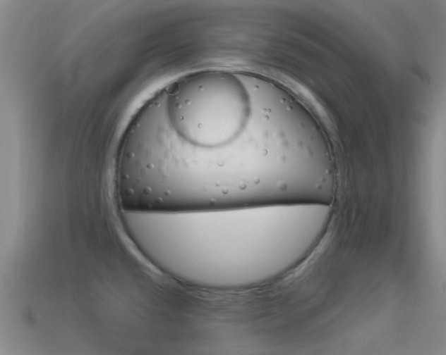 X0000114521432200910190940