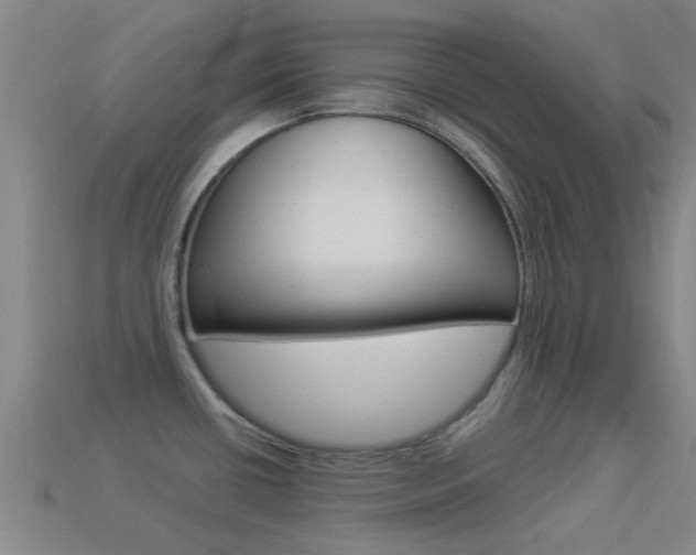 X0000114521434200910190940