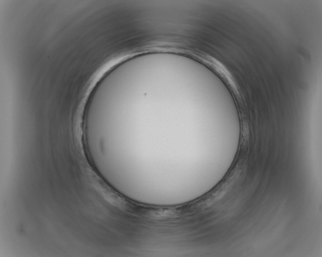 X0000114521435200910190940