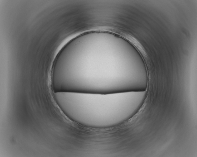 X0000114521436200910190940