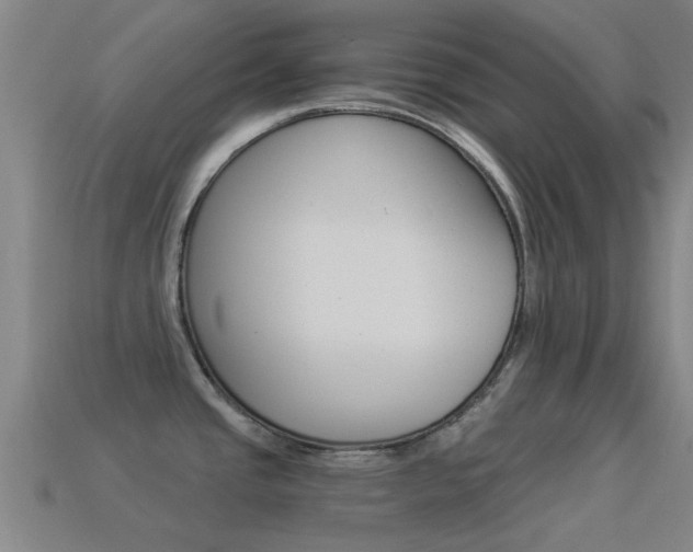 X0000114521437200910190940