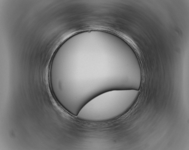 X0000114521439200910190940