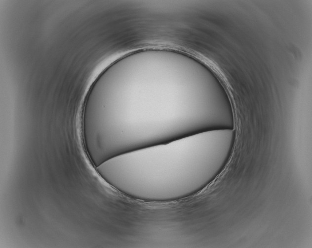 X0000114521440200910190940