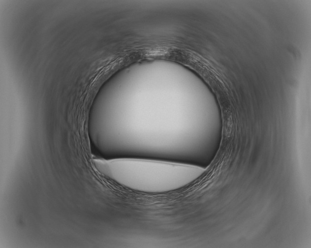 X0000114521441200910190940