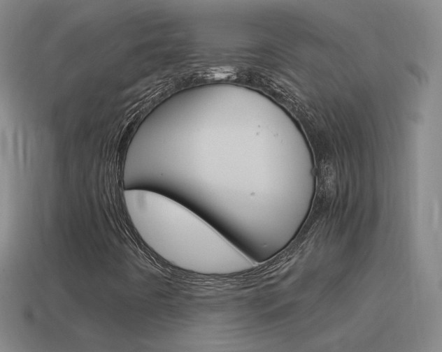 X0000114521442200910190940