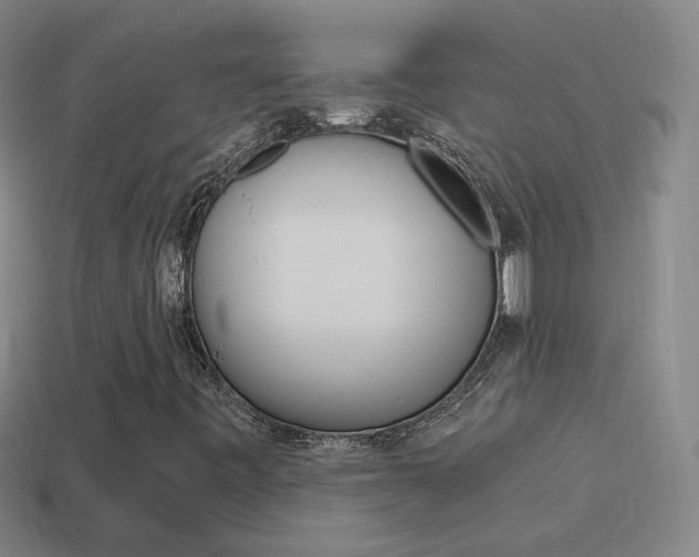 X0000114521443200910190940