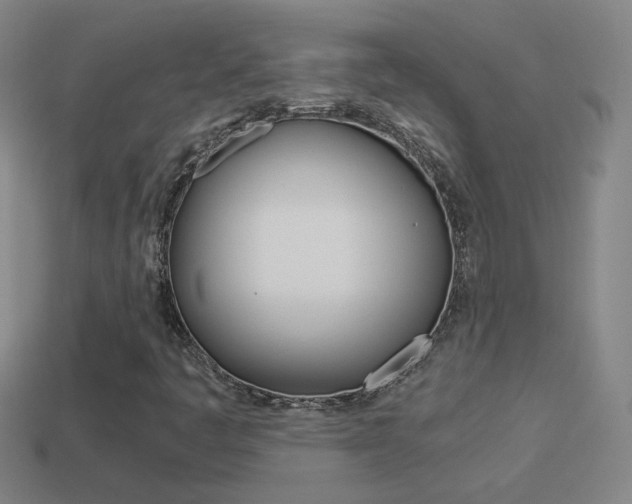 X0000114521445200910190940