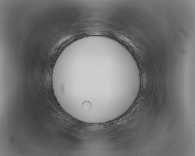X0000114521446200910190940