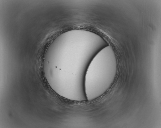 X0000114521447200910190940