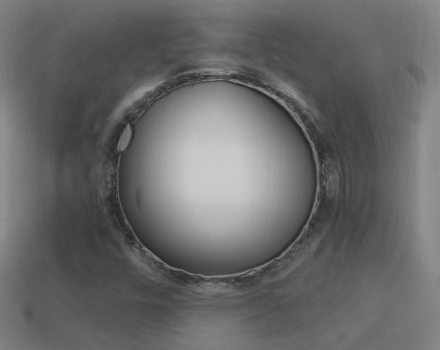 X0000114521448200910190940