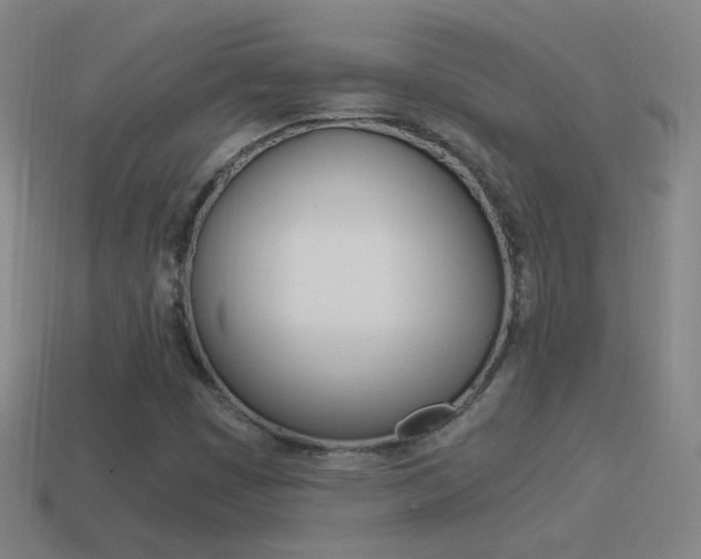 X0000114521449200910190939