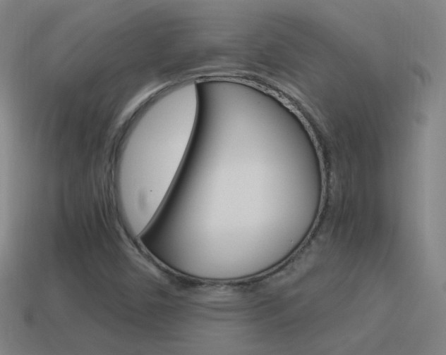 X0000114521450200910190939