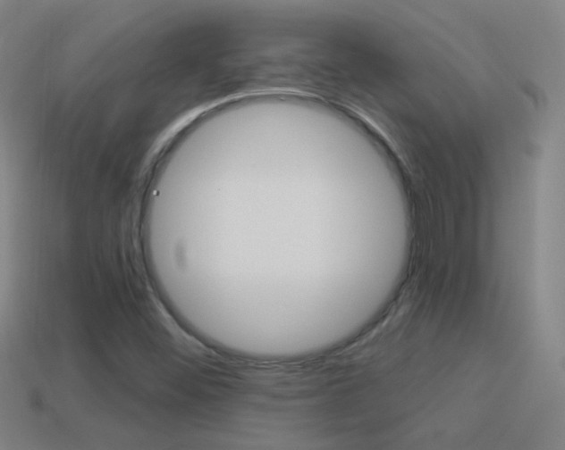 X0000114521452200910190939