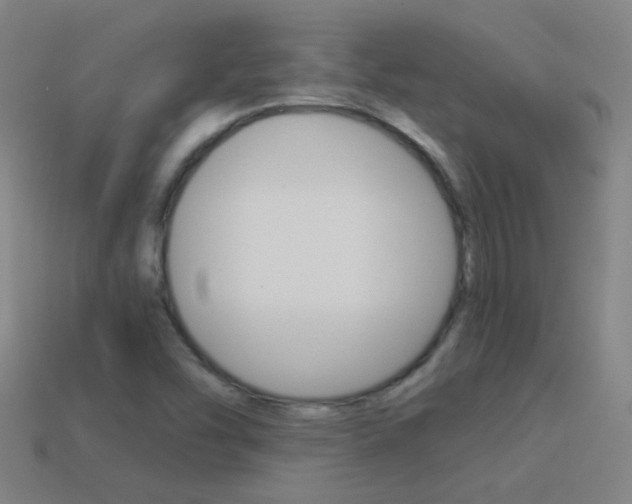 X0000114521454200910190939
