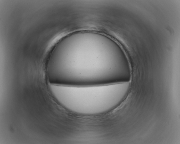 X0000114521455200910190939