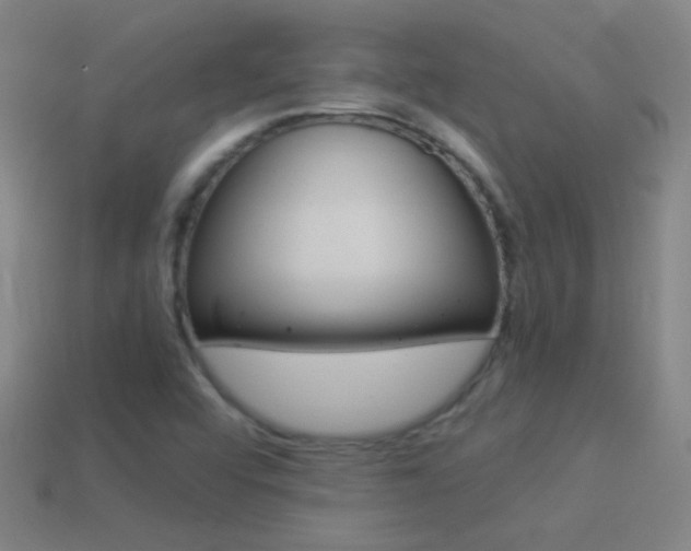 X0000114521456200910190939