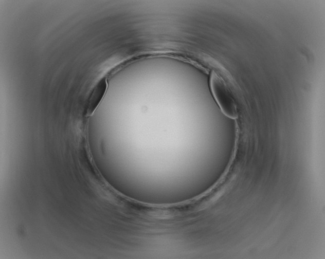 X0000114521457200910190939