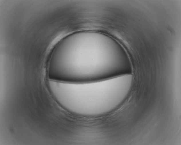 X0000114521459200910190939