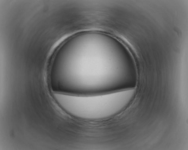 X0000114521460200910190939