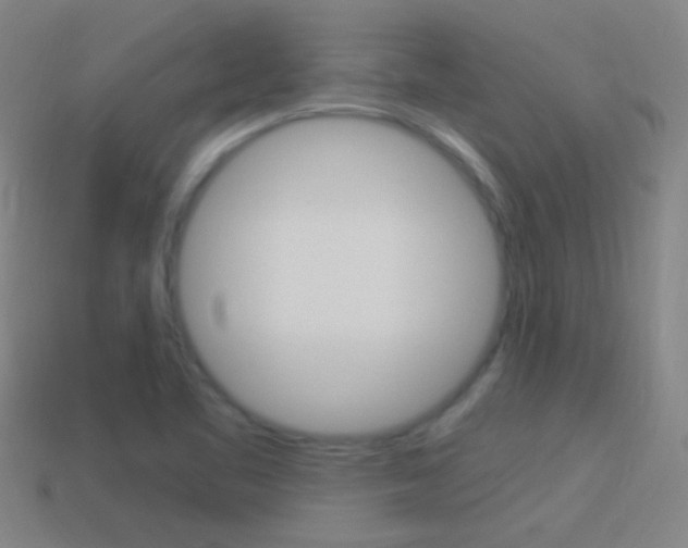 X0000114521461200910190939