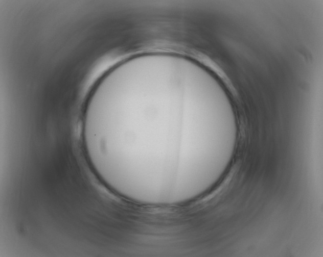 X0000114521462200910190939