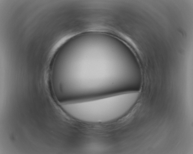 X0000114521463200910190939