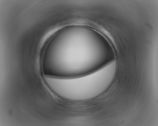 X0000114521464200910190939