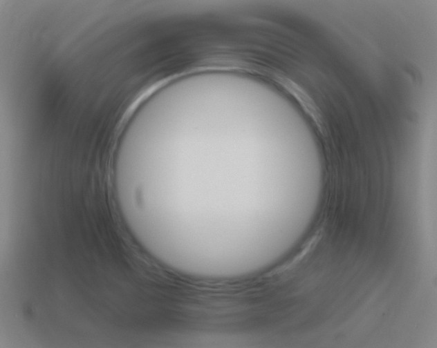 X0000114521465200910190939