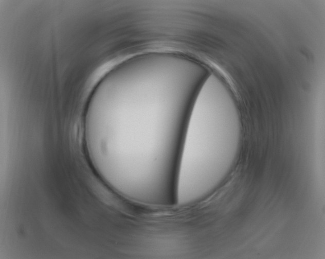 X0000114521467200910190939