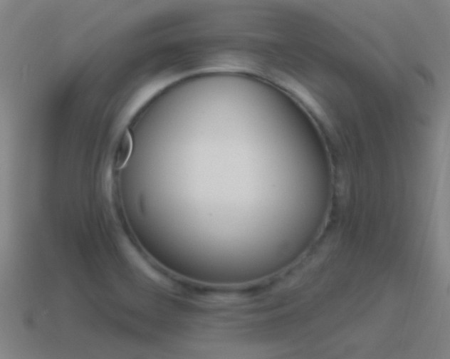 X0000114521468200910190939