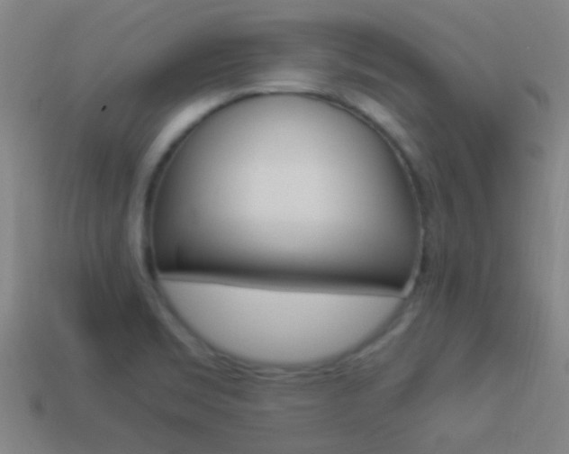 X0000114521469200910190939