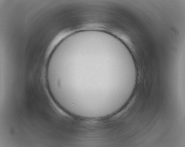 X0000114521470200910190939