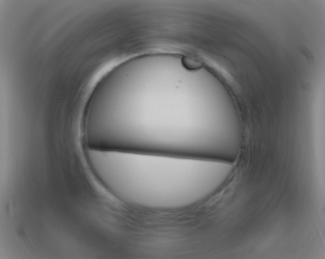 X0000114521471200910190939
