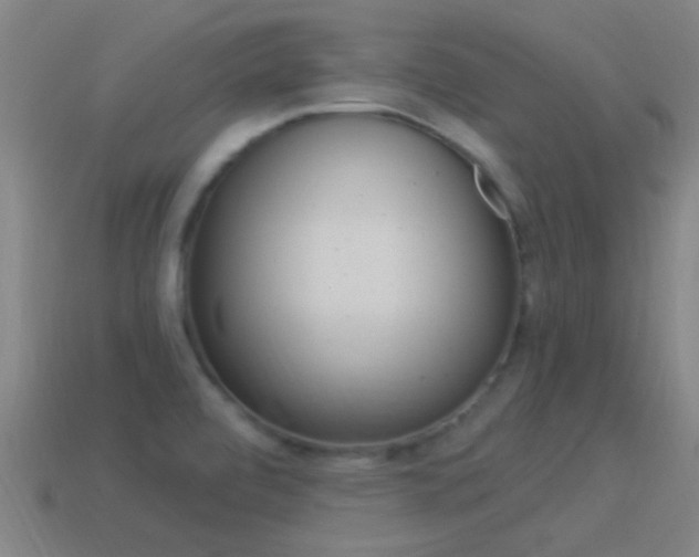 X0000114521472200910190939
