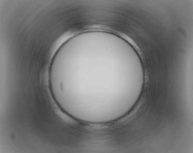 X0000114521474200910190939