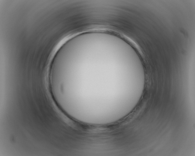 X0000114521475200910190939